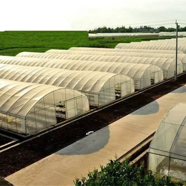 Petites serres agricoles