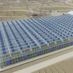Serre solaire photovoltaïque agricole