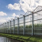 Serres en verre hollandaises