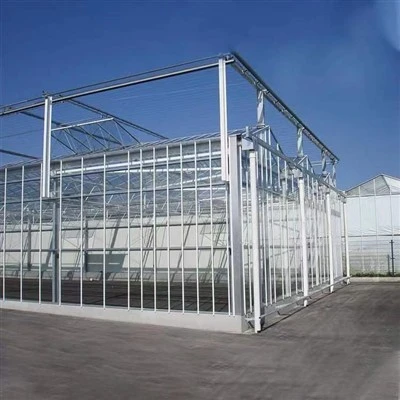 Serre hydroponique en verre