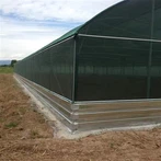 Serre pour escargots