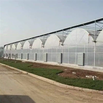 Greenhouse Multispan