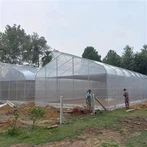Serre tunnel pour légumes